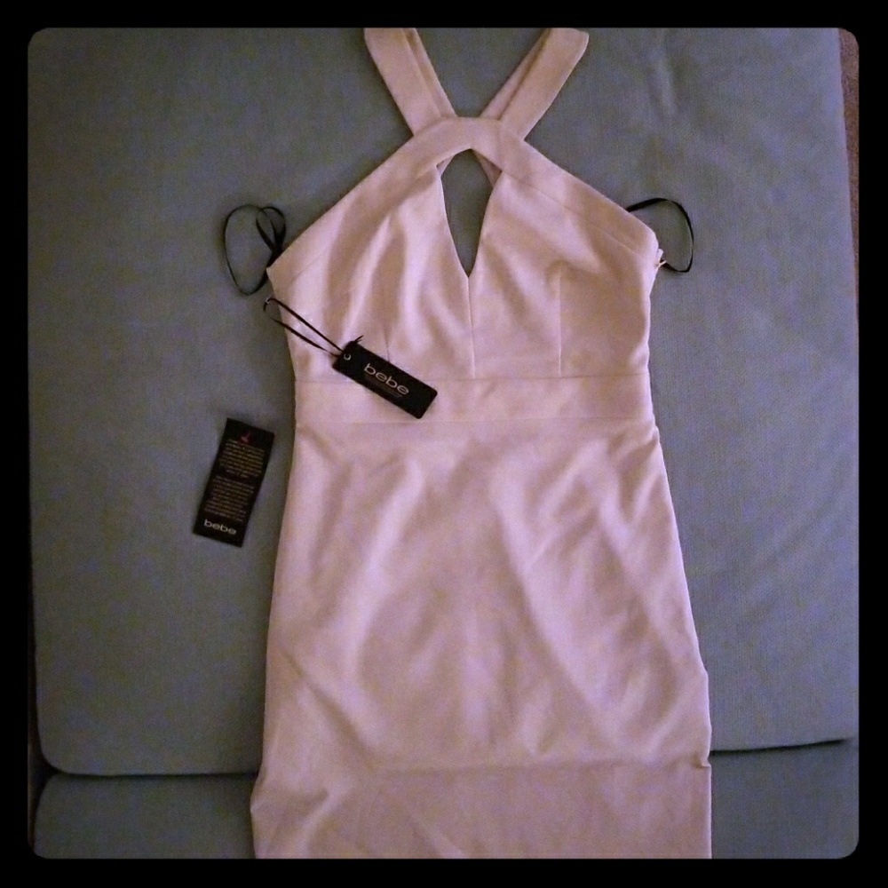 NWT bodycon dress